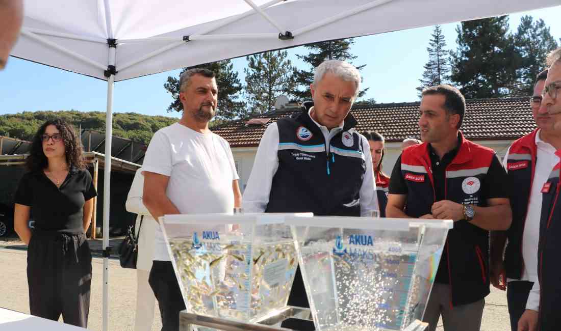 Tarım ve Orman Bakanlığı Balıkçılık ve Su Ürünleri Genel Müdürü