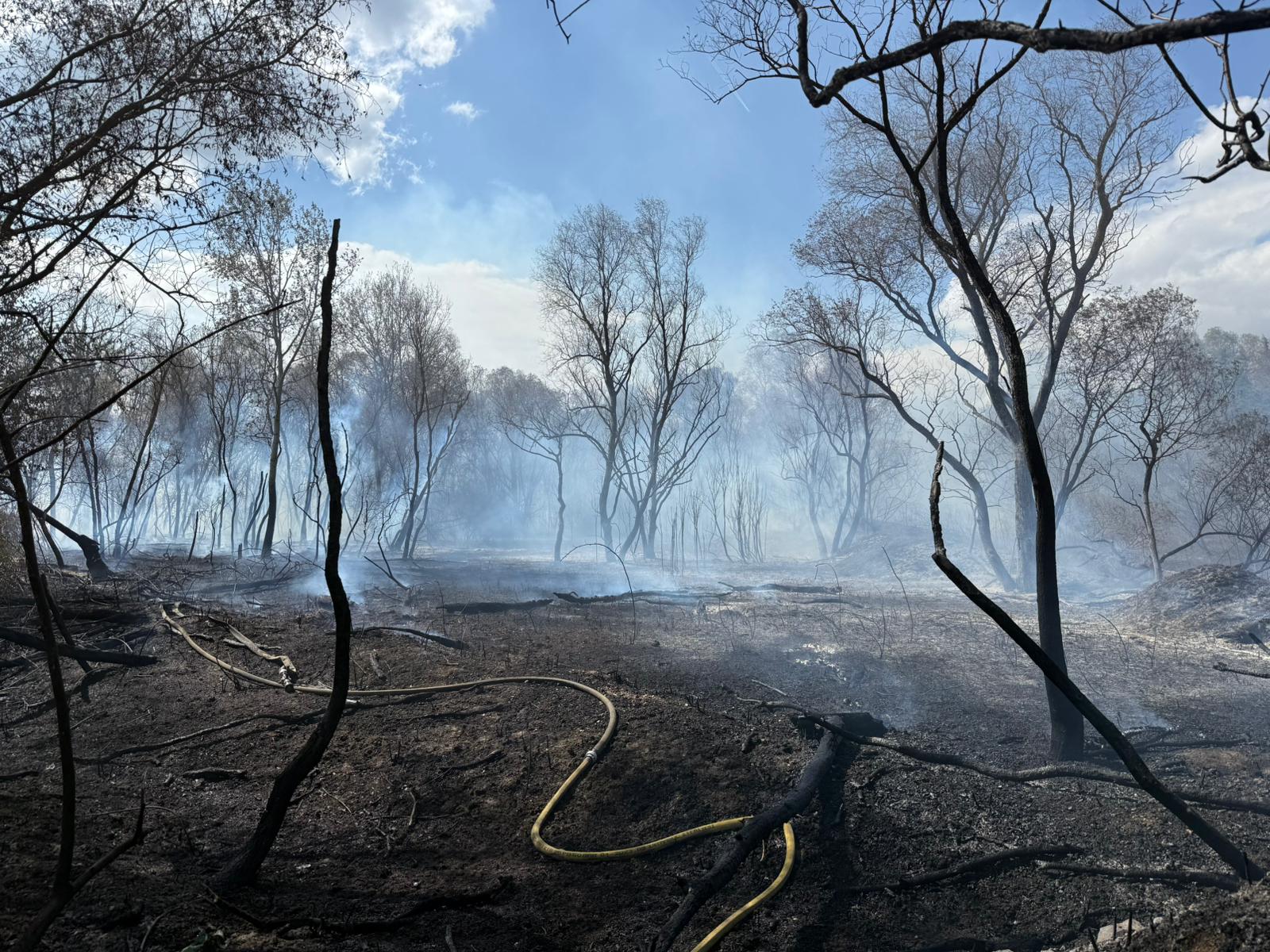 İstanbul Büyükçekmece’de göl çevresindeki otluk alanda çıkan yangın, rüzgarın etkisiyle