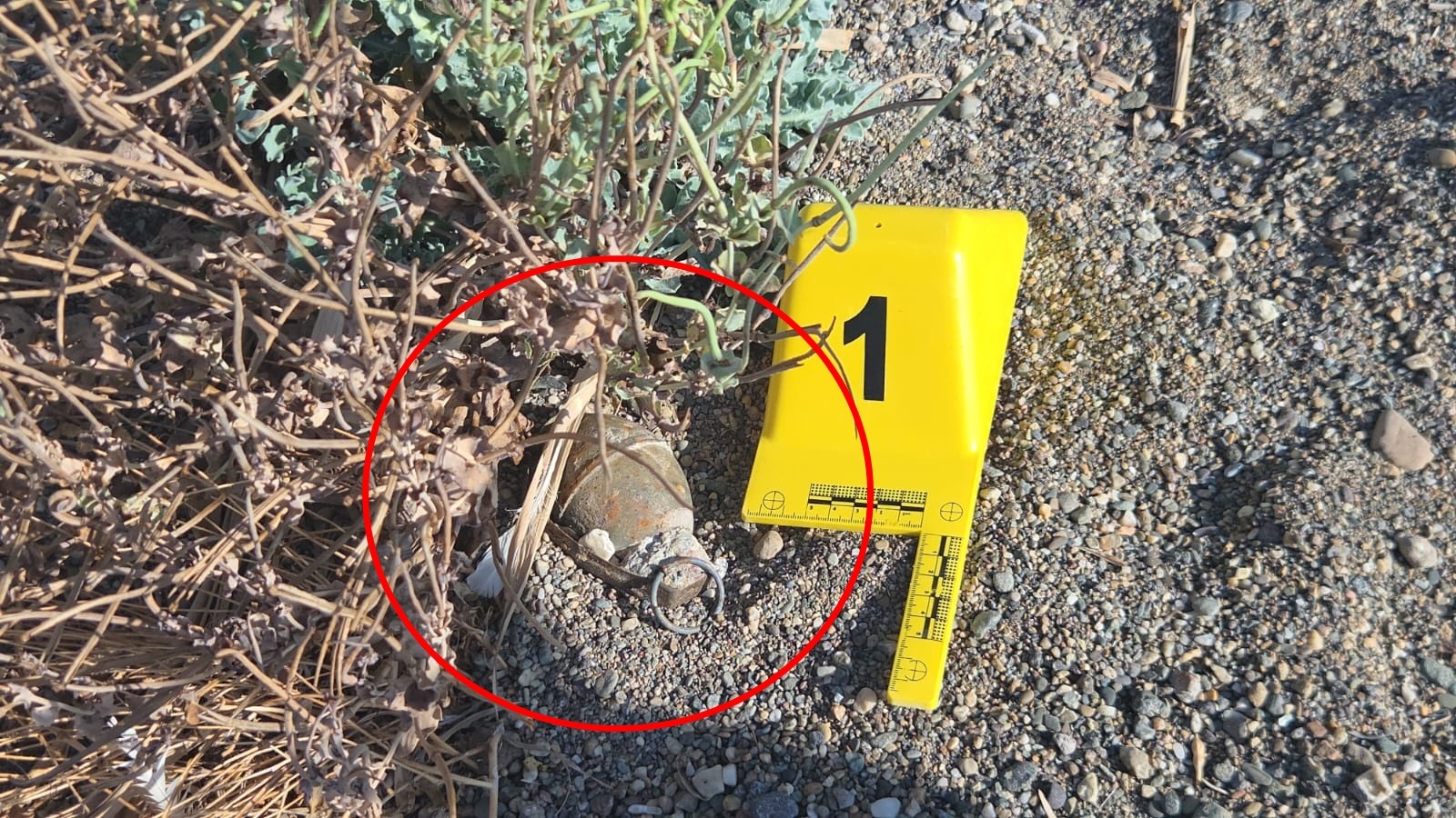 Bursa’da İznik Gölü Sahilinde Kurtuluş Savaşı’ndan Kalma El Bombası Bulundu