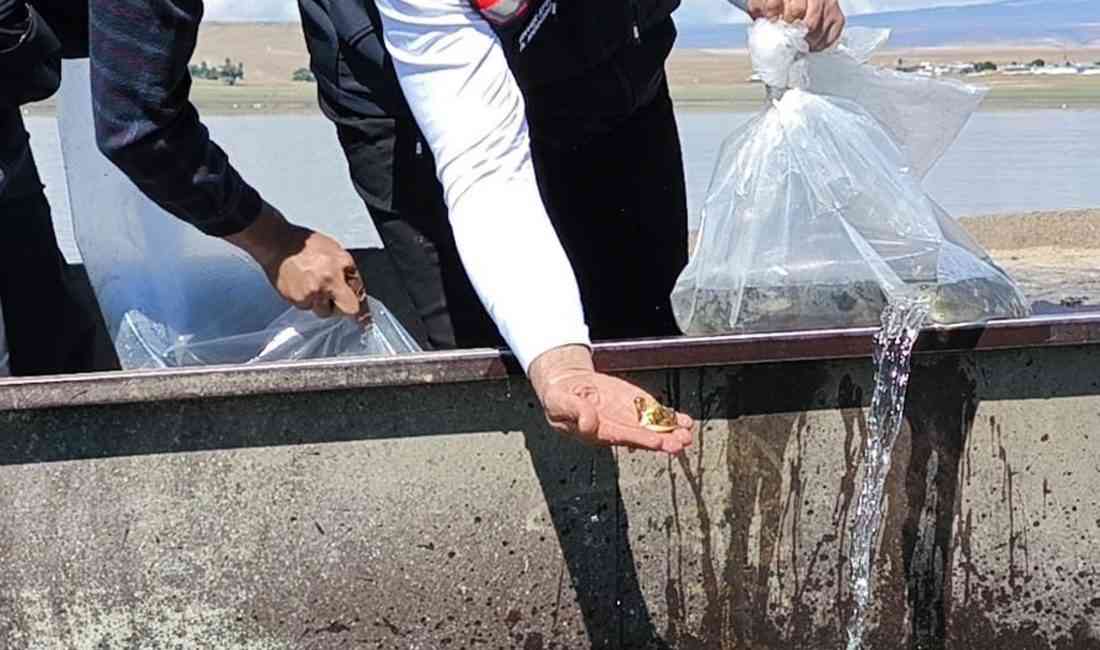 Türkiye-Ermenistan sınırındaki Arpaçay Baraj Gölü başta olmak üzere Kars’taki göl