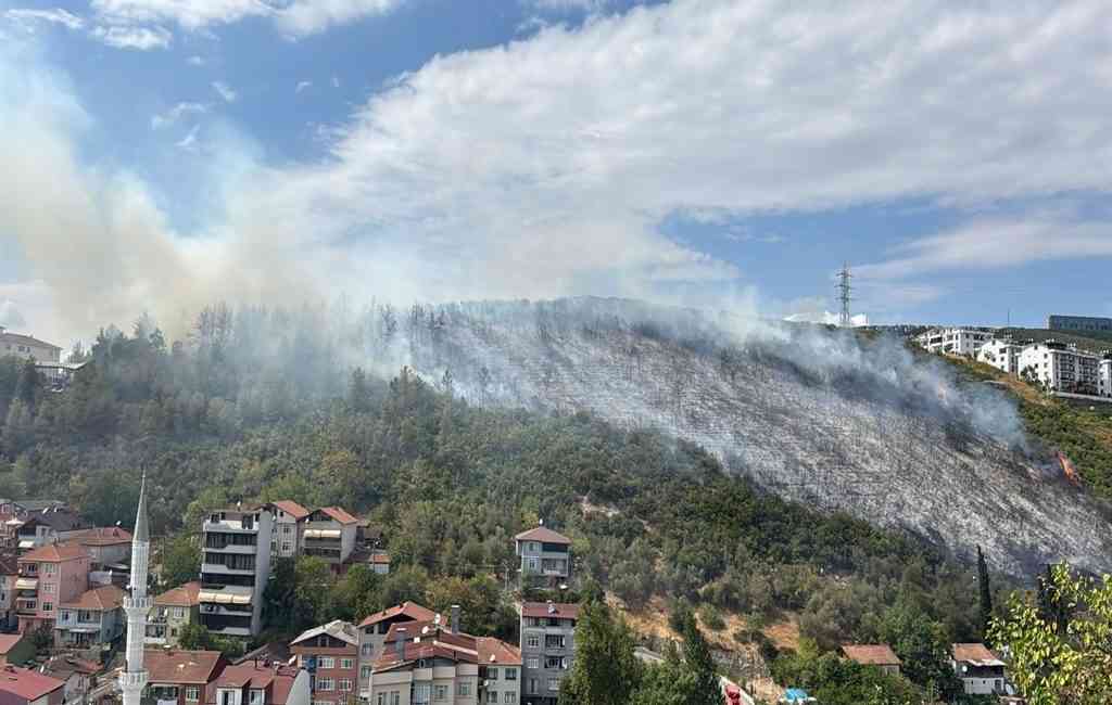 İzmit’in Yenidoğan Mahallesi’nde 24 Ağustos’ta çıkan yangında yaklaşık 16 dönümlük