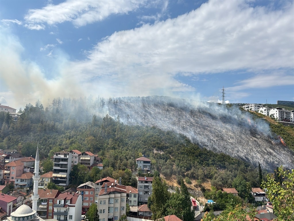 İzmit’in Yenidoğan Mahallesi’nde 24 Ağustos’ta çıkan yangında yaklaşık 16 dönümlük