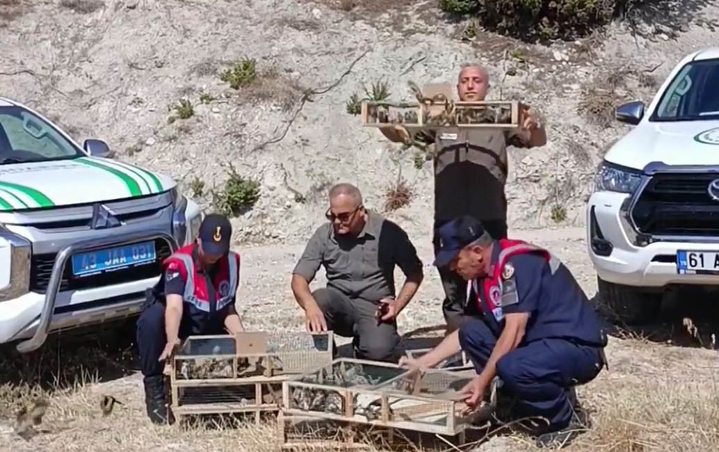 Doğa Koruma ve Milli Parklar (DKMP) Genel Müdürü Kadir Çokçetin,