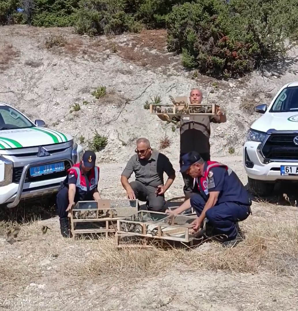 Doğa Koruma ve Milli Parklar (DKMP) Genel Müdürü Kadir Çokçetin,