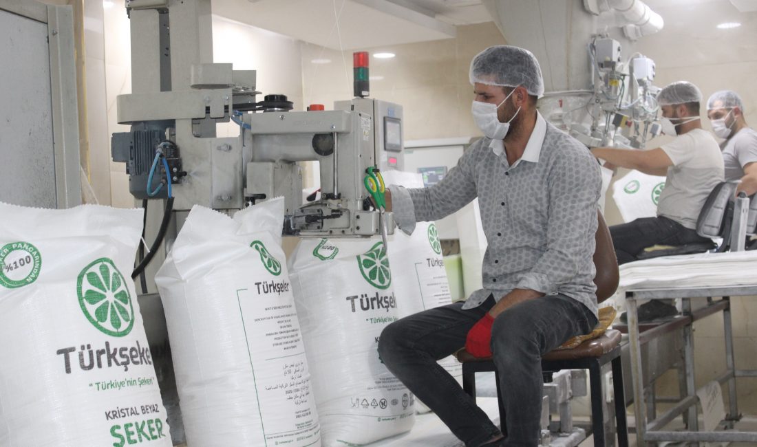 Malatya Şeker Fabrikası, 2025-2026 kampanya döneminde 500 bin ton şeker