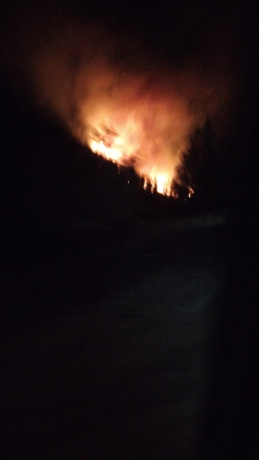 Muğla’nın Köyceğiz ilçesinde orman yangını çıktı. Ekiplerin alevlere müdahalesi sürüyor.