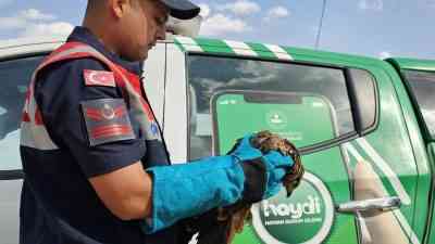 Muş’un Hasköy ilçesinde güvenlik güçleri tarafından yaralı halde bulunan bir