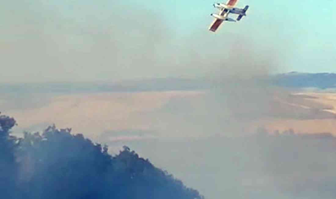 Tekirdağ’ın Malkara ilçesinde, anız yangınının ormana sıçraması sonucu büyük bir