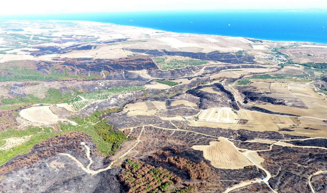 Tekirdağ’ın Şarköy ilçesinde 15 Temmuz’da çıkan ve 45,5 saat süren