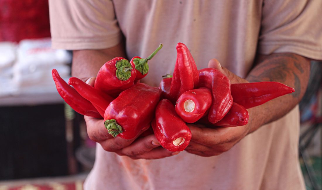 Karaisalı Biberinde Hasat Başladı, Salça Sezonu Açıldı ADANA’nın Karaisalı ilçesinde yetişen tescilli Karaisalı biberinin hasadıyla birlikte salça