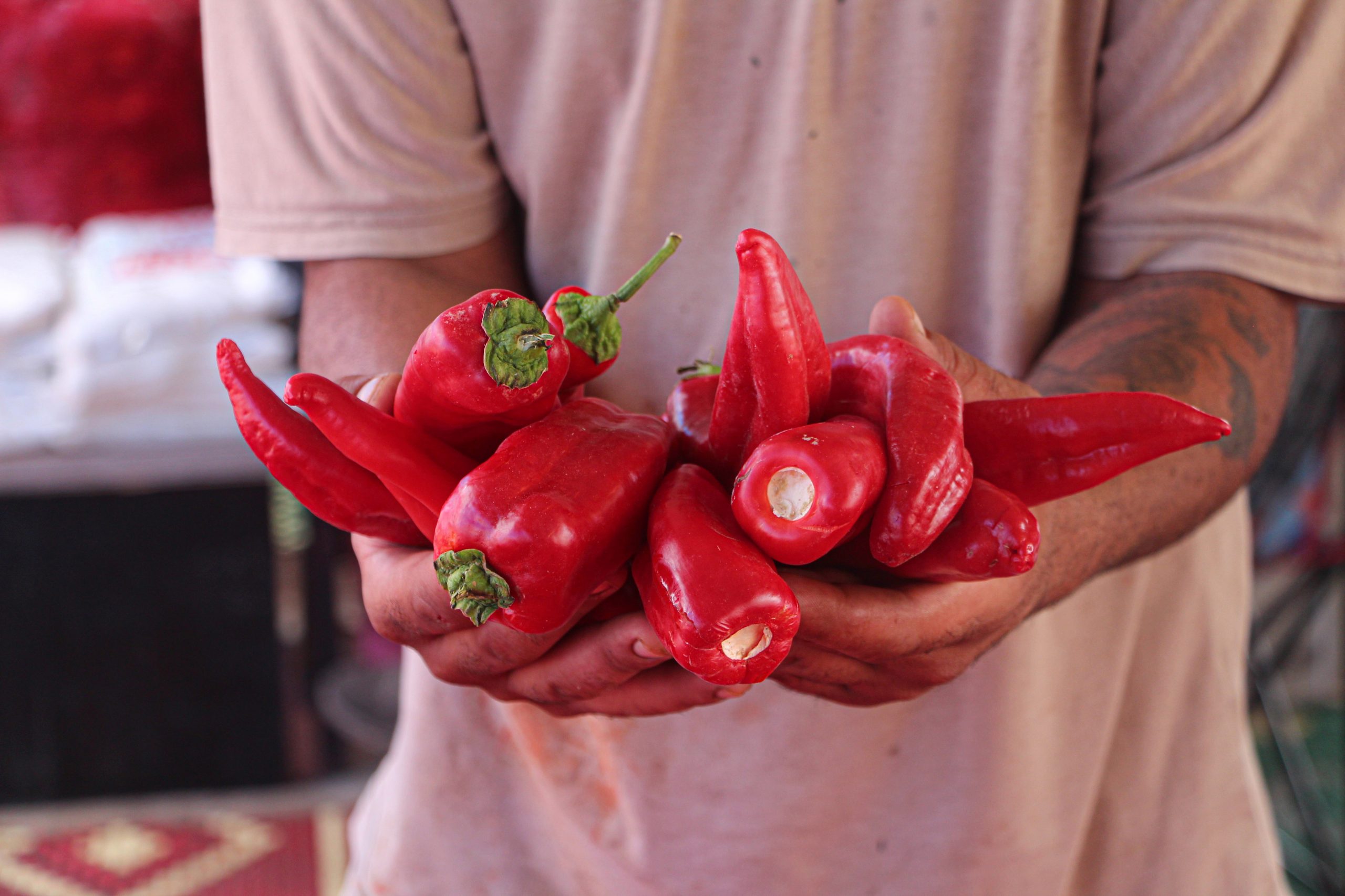 ADANA’nın Karaisalı ilçesinde yetişen tescilli Karaisalı biberinin hasadıyla birlikte salça