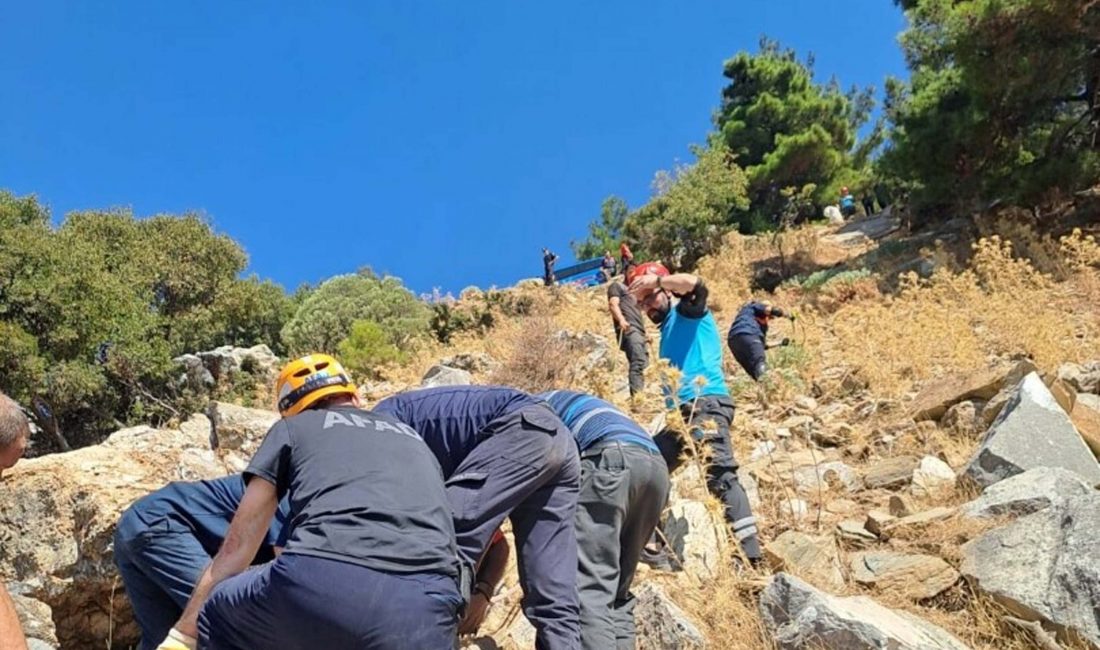 Aydın’da Uçuruma Düşen Arıcı Ağır Yaralandı Aydın’ın Söke ilçesinde, arıcılık yapan Ramazan Demiryürek (37), dengesini kaybederek