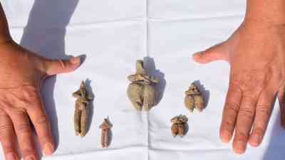 İzmir’in Kemalpaşa ilçesindeki Ulucak Höyüğü’nde yürütülen kazılarda Neolitik döneme ait