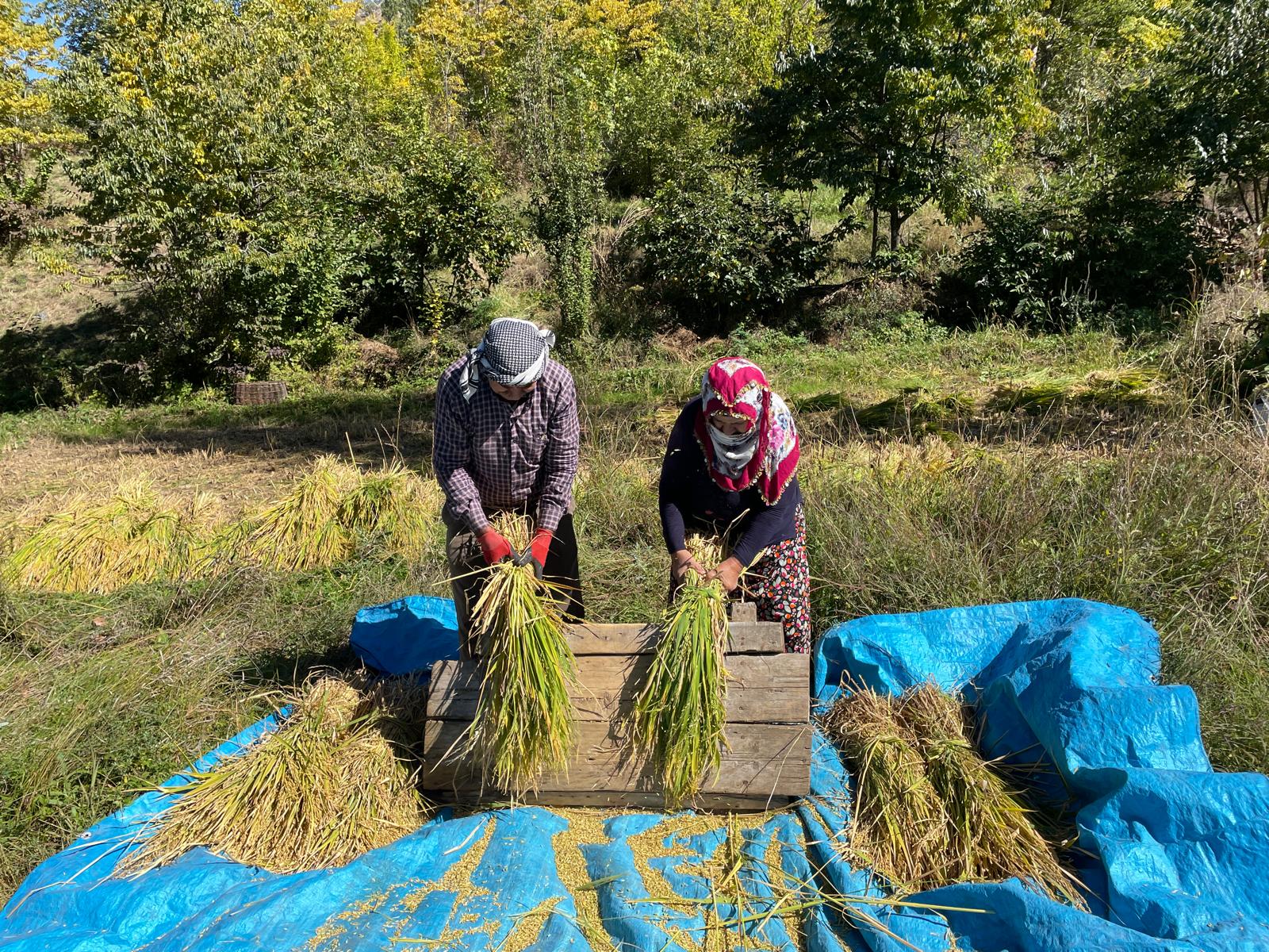   Artvin’in Yusufeli ilçesine bağlı Köprügören köyünde, zorlu arazi koşullarına