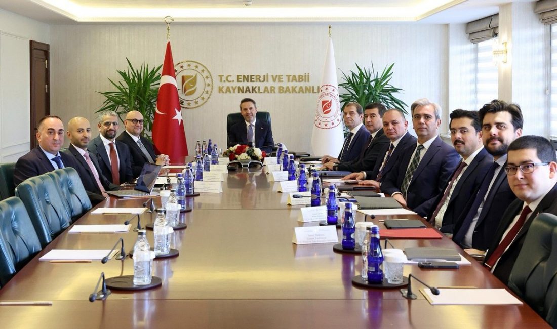 Enerji ve Tabii Kaynaklar Bakanı Alparslan Bayraktar, Birleşik Arap Emirlikleri
