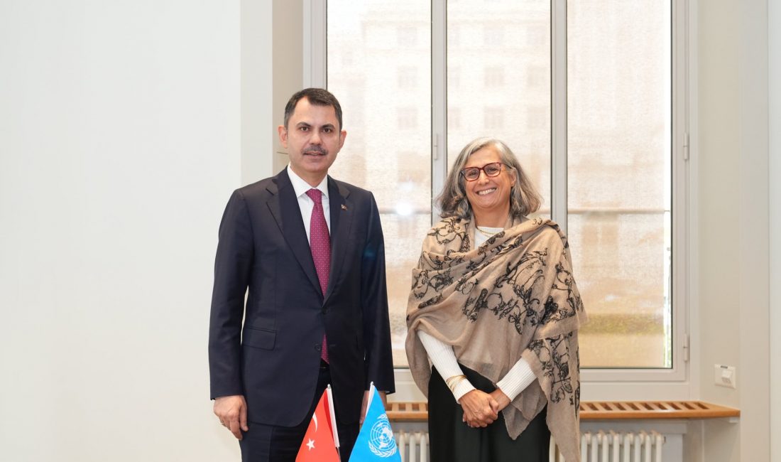 Çevre, Şehircilik ve İklim Değişikliği Bakanı Murat Kurum, Birleşmiş Milletler