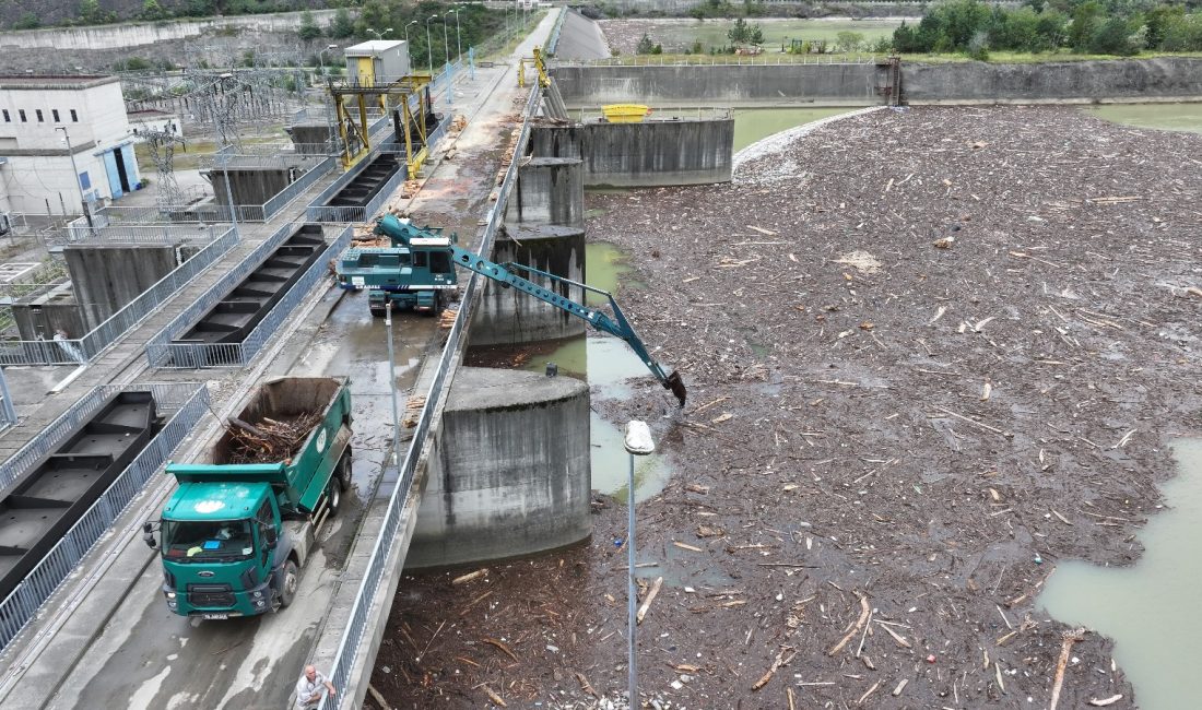 Artvin’in Borçka ilçesinde geçen ay yaşanan sel felaketinin ardından, derelerin