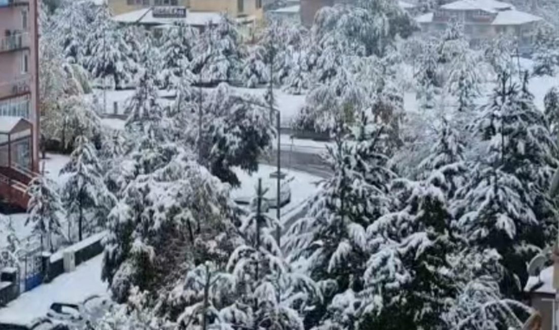 Erzurum’da gece saatlerinde başlayan kar yağışı kent merkezini beyaza bürüdü.