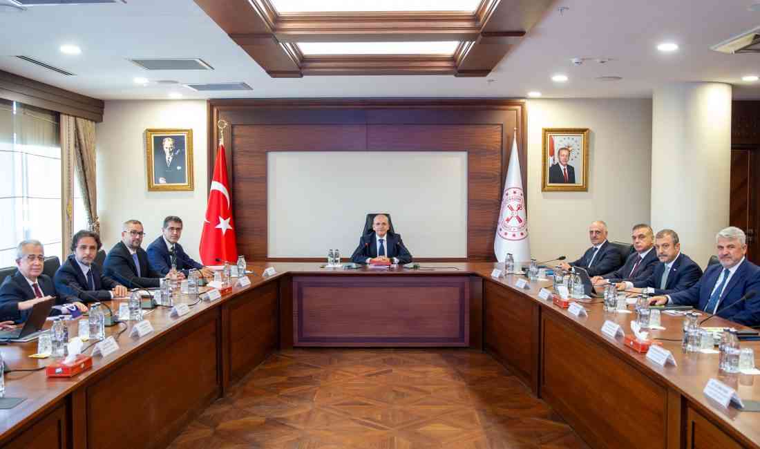 Finansal İstikrar Komitesi, Hazine ve Maliye Bakanı Mehmet Şimşek başkanlığında