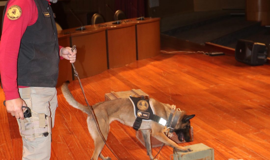 Erzurum’da Uyuşturucuyla Mücadele Konferansına Narkotik Köpeği Hera Damgasını Vurdu Erzurum Atatürk Üniversitesi’nde düzenlenen uyuşturucuyla mücadele konferansında, narkotik köpeği Hera’nın