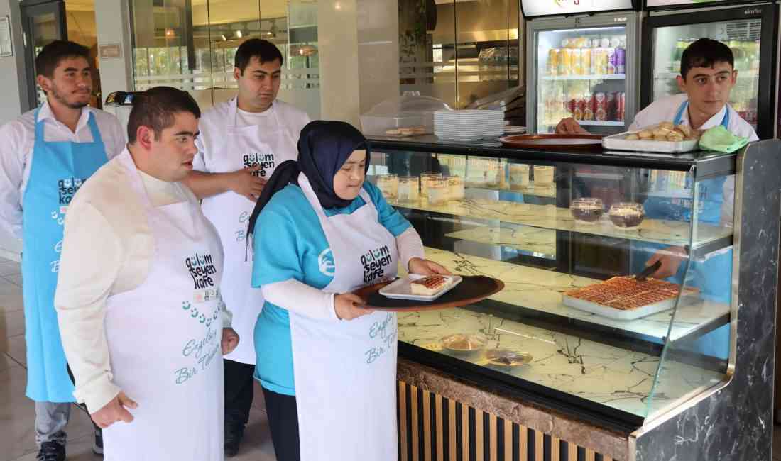 &nbsp; Erzurum Büyükşehir Belediyesi tarafından Olimpiyat Parkı içinde geçen yıl