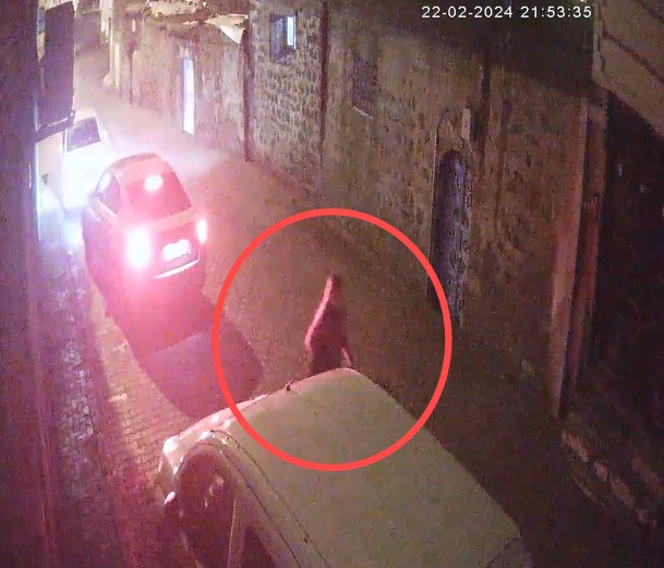   Şanlıurfa’nın Siverek ilçesinde, hemşire eşi Pınar Bulunmaz’ın (28) otomobilde