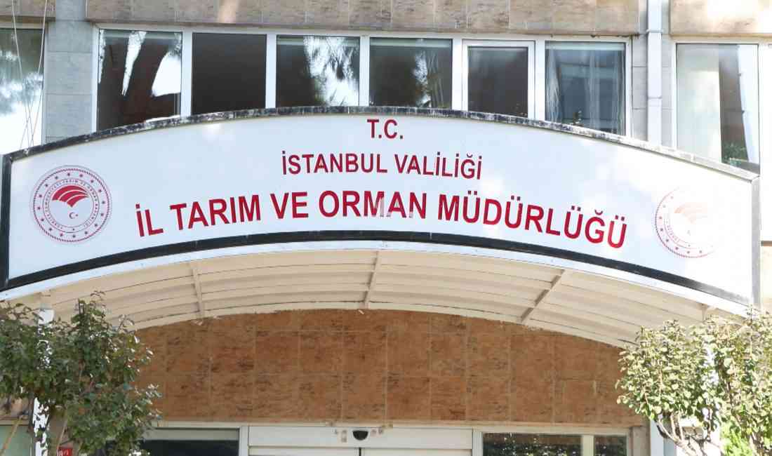 &nbsp; İstanbul’da son yıllarda sayıları hızla artan kahverengi kokarcalara karşı