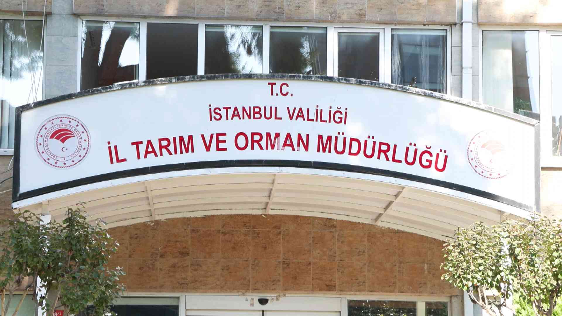 &nbsp; İstanbul’da son yıllarda sayıları hızla artan kahverengi kokarcalara karşı