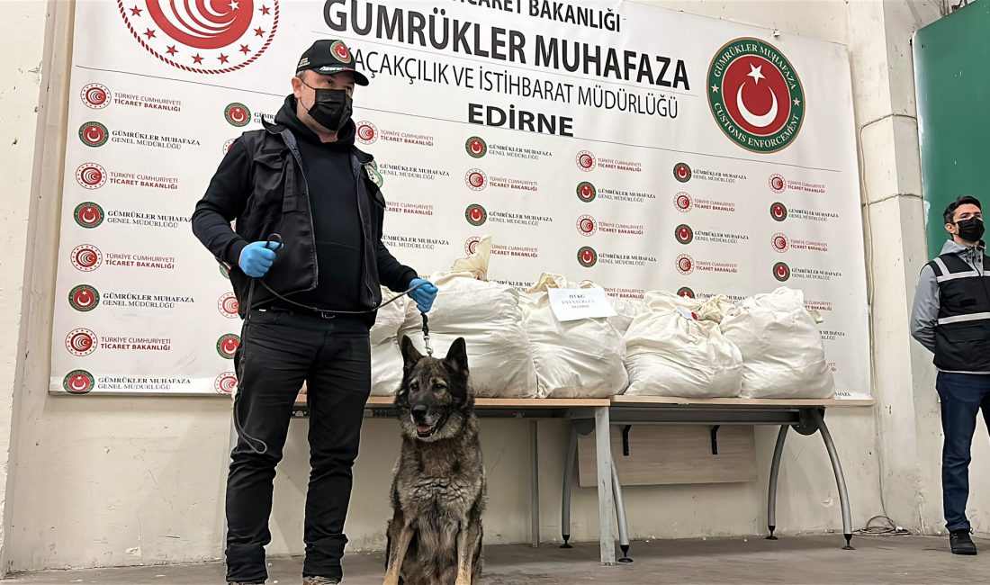   Edirne’de, Bulgaristan’dan Türkiye’ye giriş yapmak üzere gelen bir TIR’ın