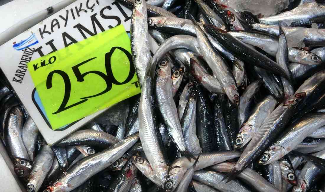 &nbsp; 1 Eylül’de av yasağının sona ermesiyle denize açılan balıkçılar,