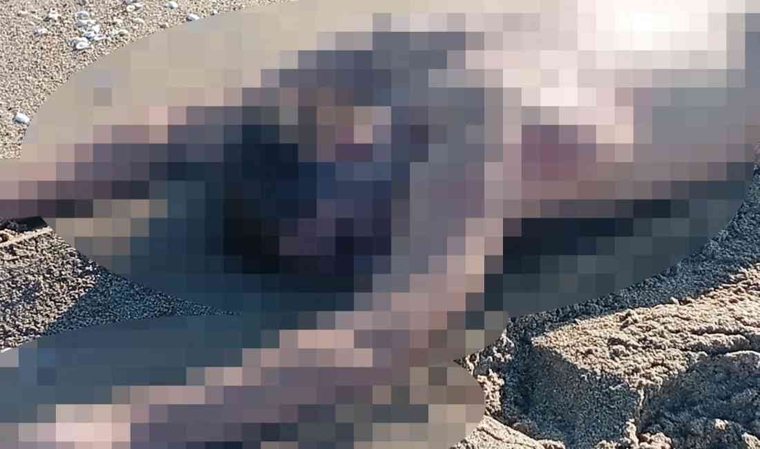 &nbsp; Sakarya’nın Karasu ilçesinde sabah saatlerinde sahilde erkek cesedi bulundu.