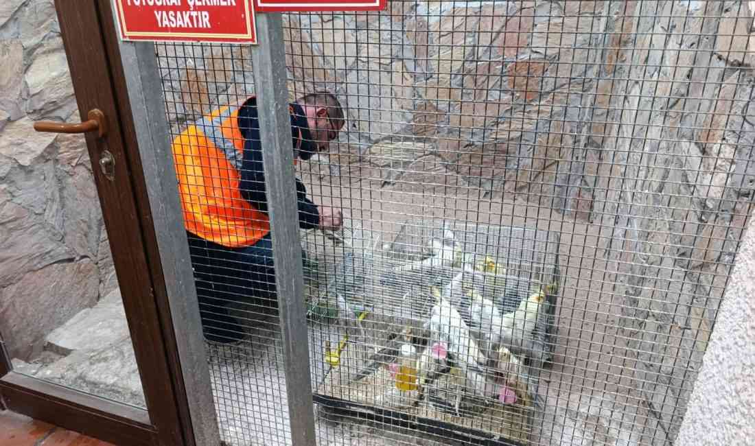 Tarım ve Orman Bakanlığı Doğa Koruma ve Milli Parklar (DKMP)