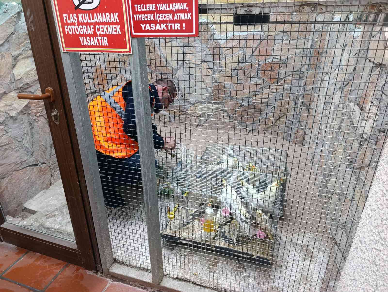 Tarım ve Orman Bakanlığı Doğa Koruma ve Milli Parklar (DKMP)