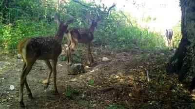 Bursa’da Doğa Koruma ve Milli Parklar (DKMP) Genel Müdürlüğü tarafından