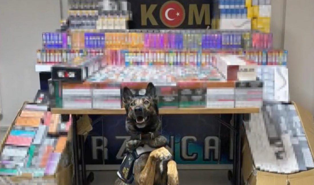 Erzincan’da 2 Otobüste Kaçak Tütün Ürünleri Ele Geçirildi: 1 Tutuklama Erzincan’da polis ekiplerinin gerçekleştirdiği denetimlerde, 2 ayrı otobüste yapılan aramada