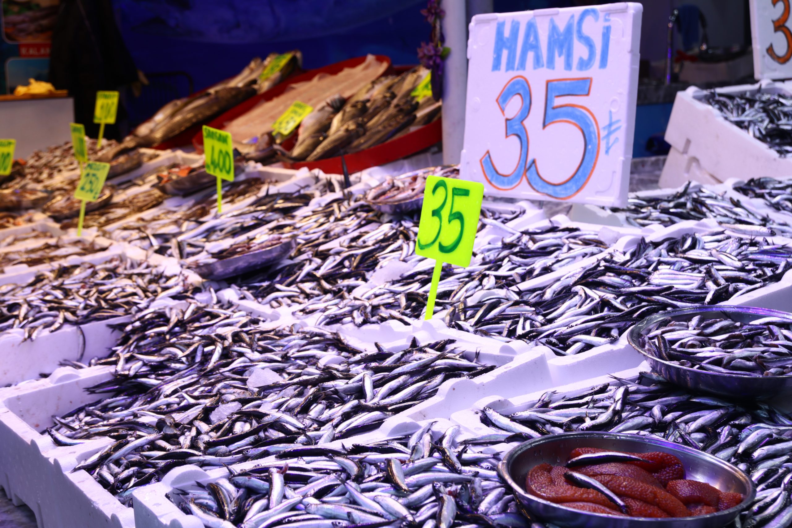   Rize’de av yasağının sona ermesiyle balık tezgahlarında bolluk sürerken,