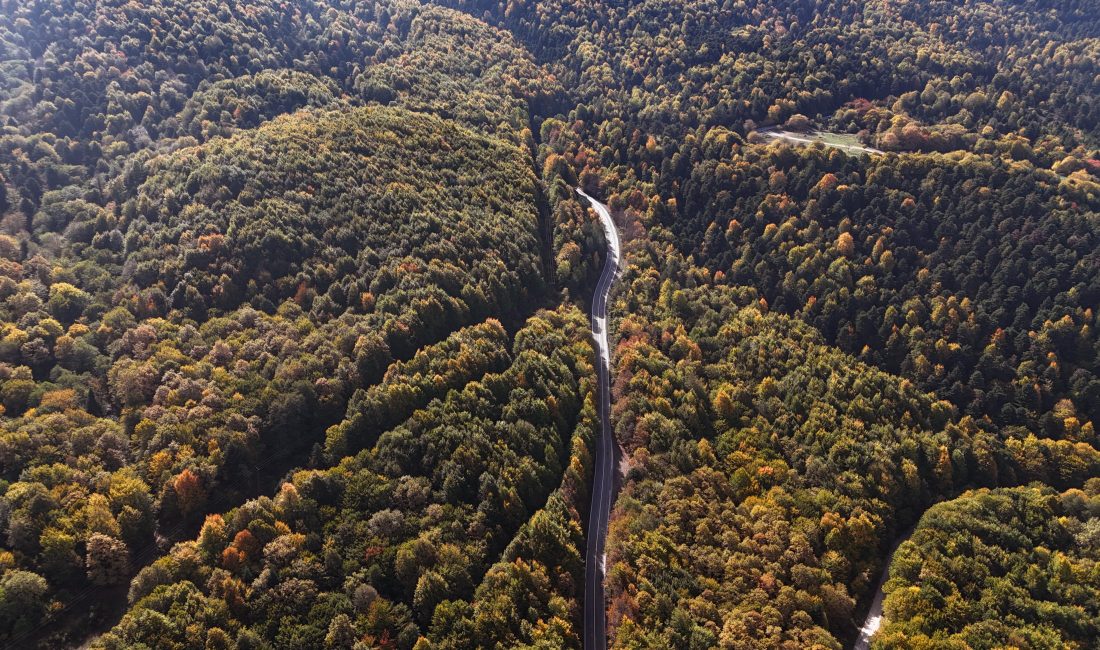 Bolu’da sonbaharın gelmesiyle birlikte Bolu-Seben-Kıbrıscık kara yolu çevresindeki ormanlar, yeşil,