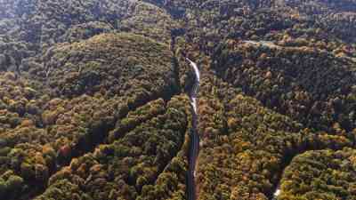 Bolu’da sonbaharın gelmesiyle birlikte Bolu-Seben-Kıbrıscık kara yolu çevresindeki ormanlar, yeşil,