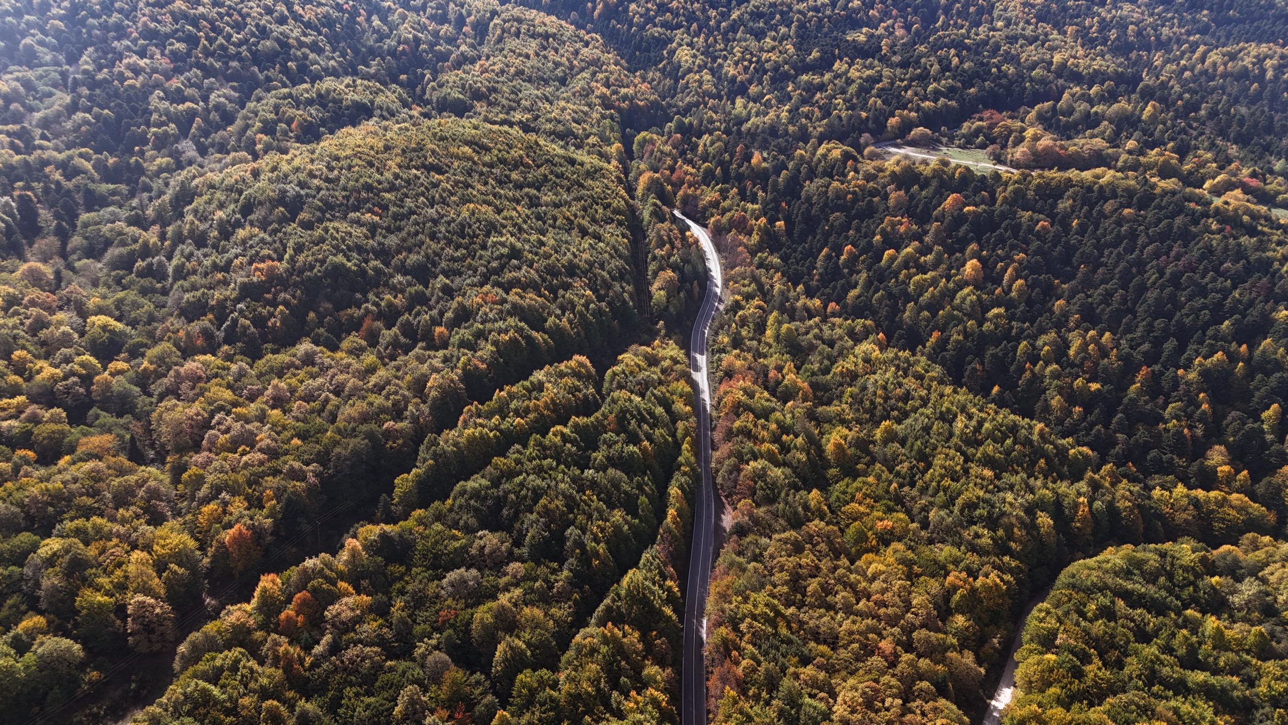 Bolu’da sonbaharın gelmesiyle birlikte Bolu-Seben-Kıbrıscık kara yolu çevresindeki ormanlar, yeşil,