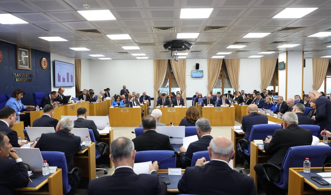   Türkiye Cumhuriyet Merkez Bankası (TCMB) Başkanı Fatih Karahan, TBMM