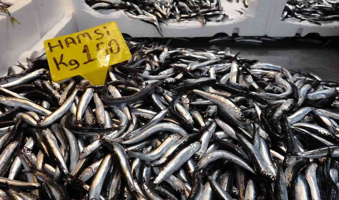 Trabzon’da av yasağının sona ermesiyle balık tezgahlarında çeşitlilik artarken, sezonun