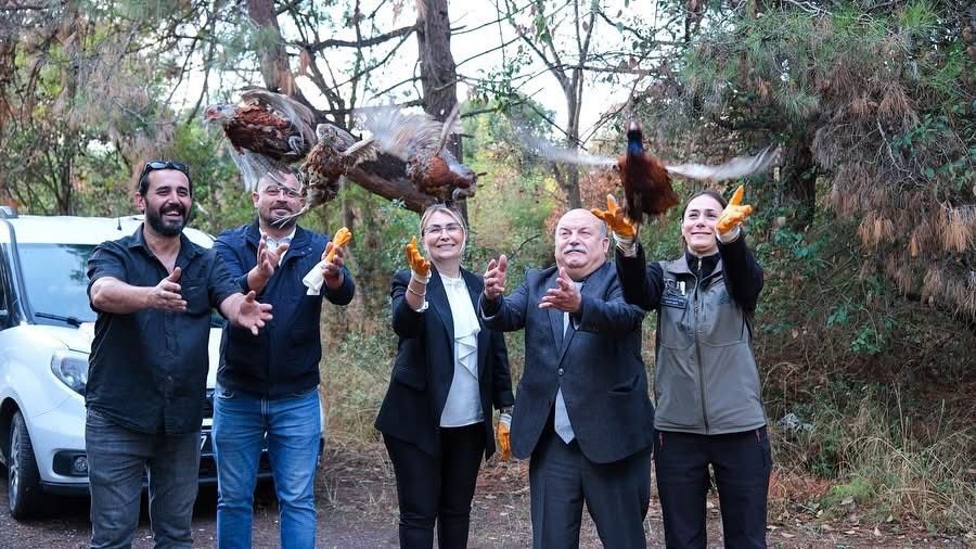 Yalova’nın Altınova ilçesi, doğa koruma çalışmalarında örnek projelere ev sahipliği