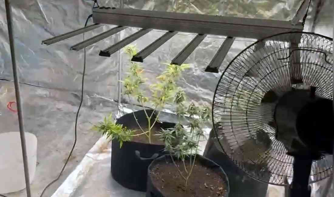 &nbsp; Adana’da polis ekiplerinin düzenlediği operasyonda, bir apartman dairesinin yatak