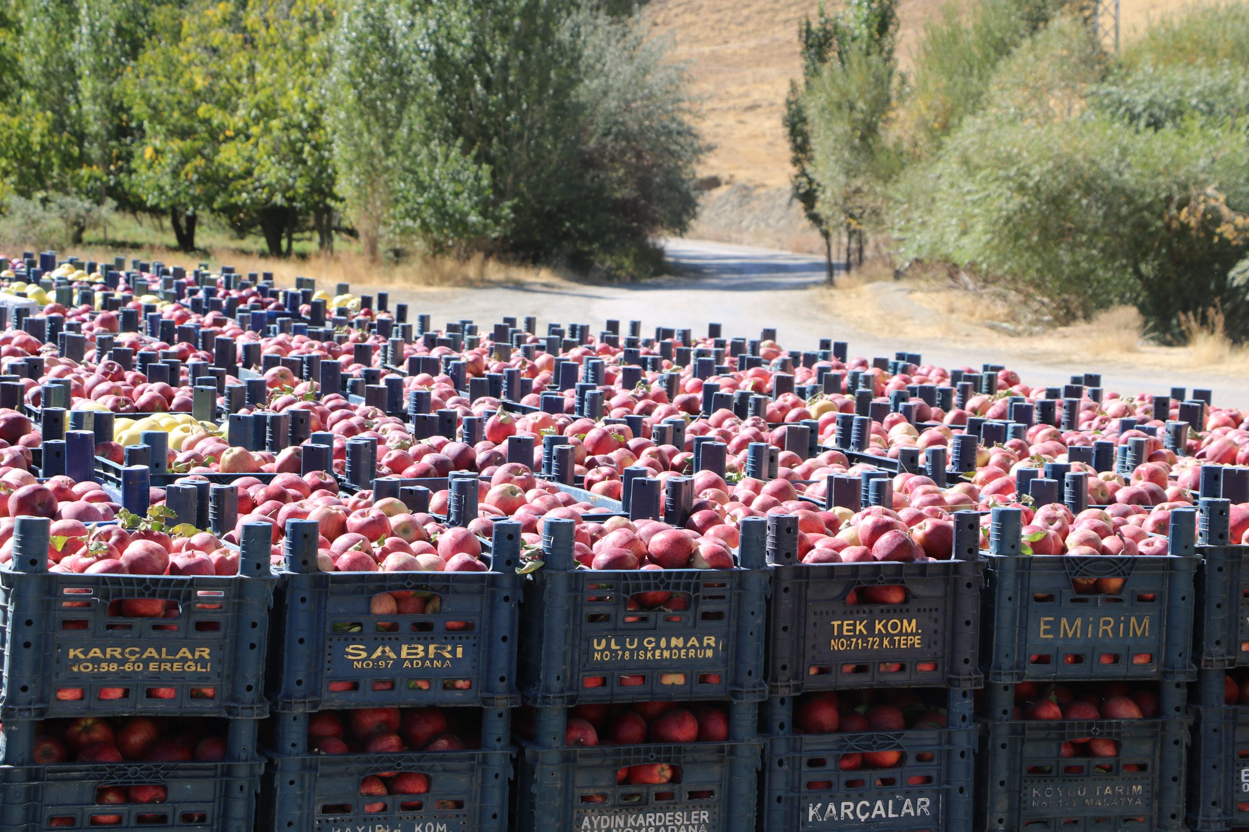 Hakkari’nin Yüksekova ilçesine bağlı Esendere beldesinde yaşayan Ensar Fırtına (35),