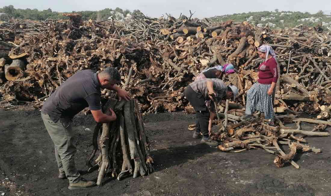 &nbsp; Mersin’in Silifke ilçesinde yaşayan Saraç ailesi, 33 yıldır geleneksel