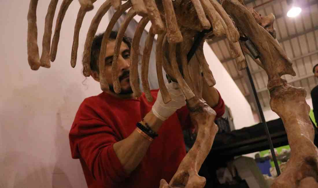 &nbsp; Yamula Barajı’nda Fosil Çalışmaları Başladı Kayseri’nin Kocasinan ilçesinde, Yamula