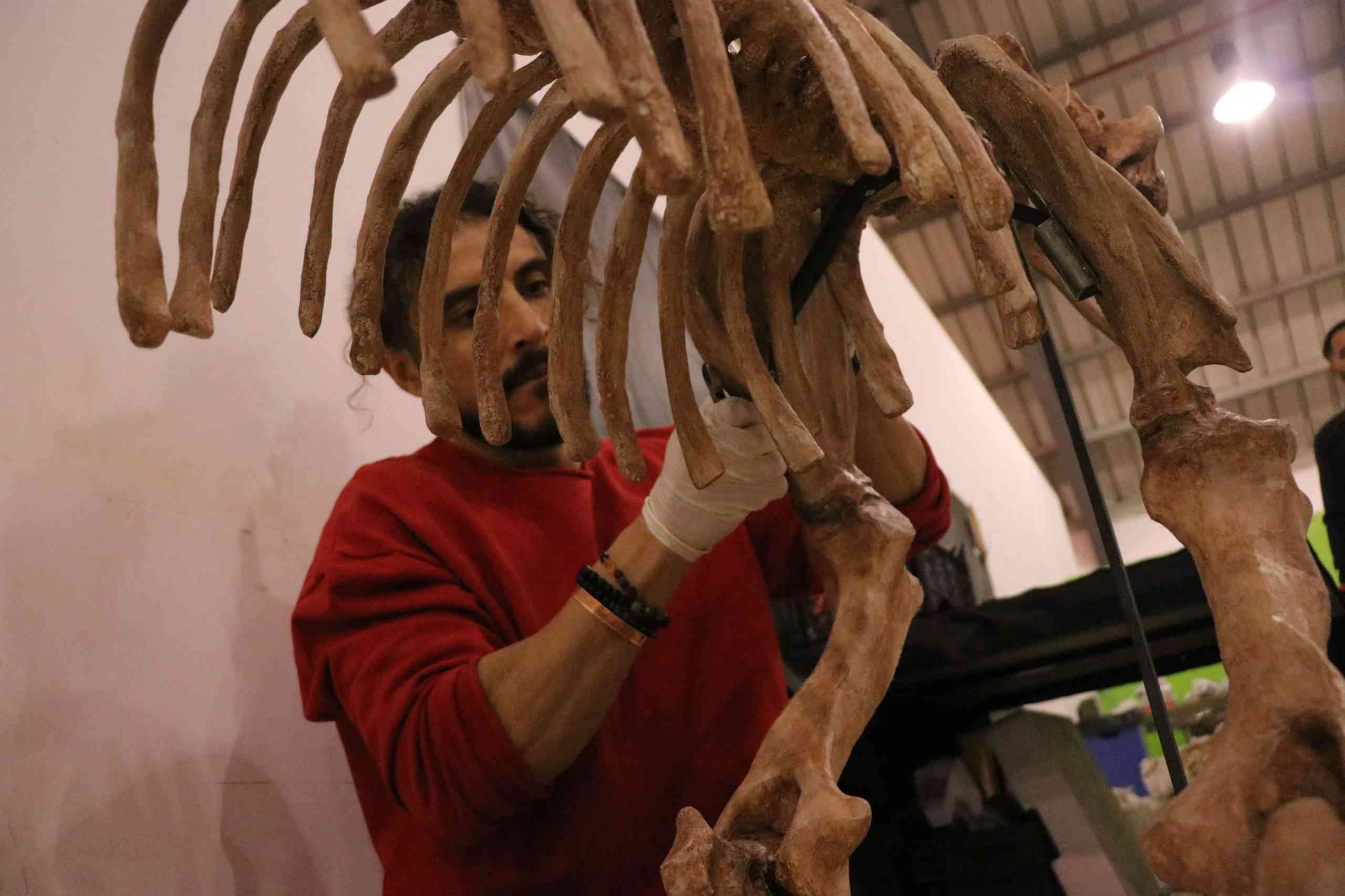 &nbsp; Yamula Barajı’nda Fosil Çalışmaları Başladı Kayseri’nin Kocasinan ilçesinde, Yamula