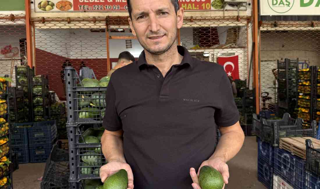 Alanya, Türkiye Avokado Üretiminin Merkez Üssü Türkiye’de avokado üretiminin önemli