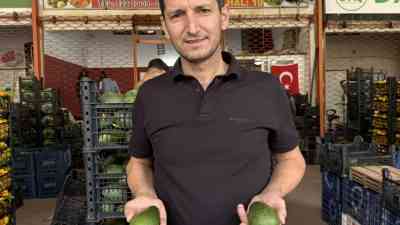 Alanya, Türkiye Avokado Üretiminin Merkez Üssü Türkiye’de avokado üretiminin önemli