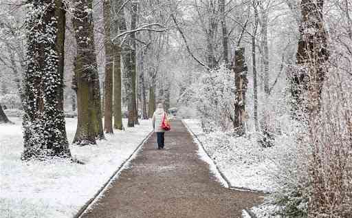 &nbsp; Bavyera’da Buzlanma Nedeniyle Feci Kaza: 3 Kişi Hayatını Kaybetti
